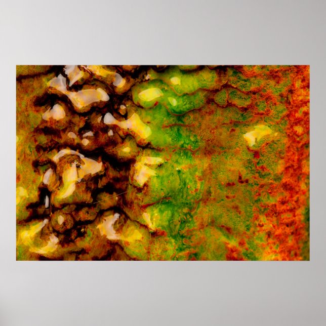 Thermal ecosystem poster (Front)