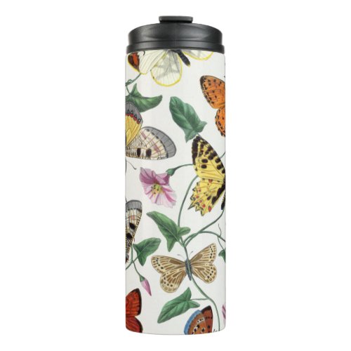Thermal Thumbler Butterfly Antique Illustration  Thermal Tumbler