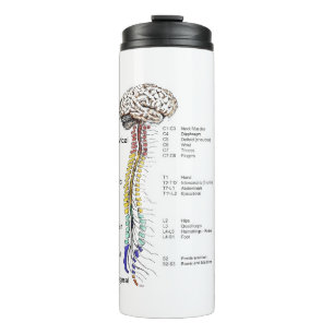 Thermal Tumbler