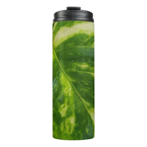 Thermal Tumbler with Money Plant Leaf Design