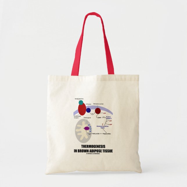 Thermogenesis In Brown Adipose Tissue Tote Bag (Front)