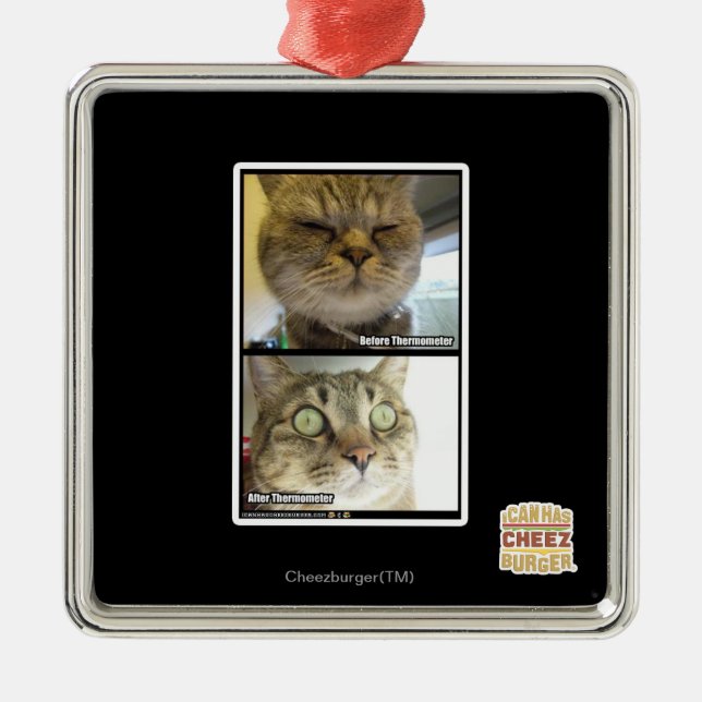 Thermometer Metal Ornament (Front)