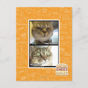 Thermometer Postcard