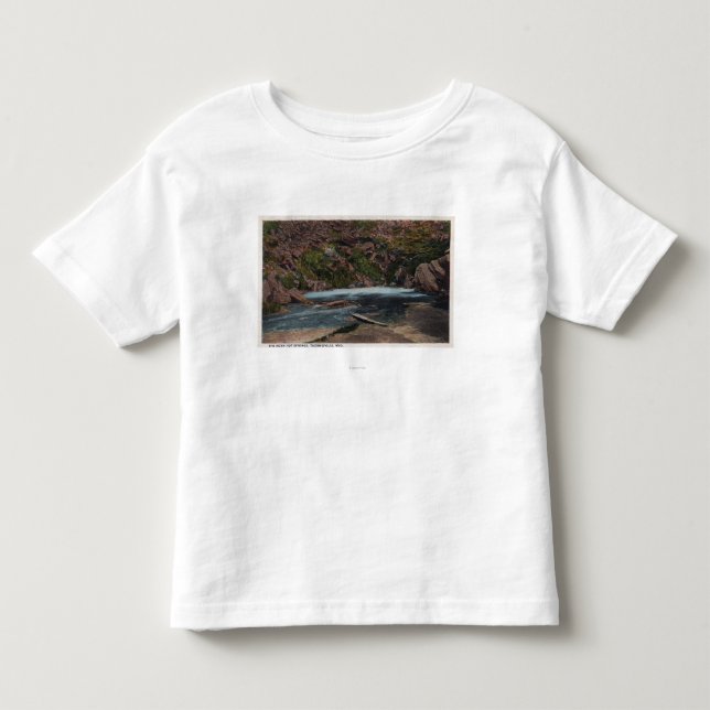 Thermopolis, WY - Big Horn Hot Springs View Toddler T-shirt (Front)