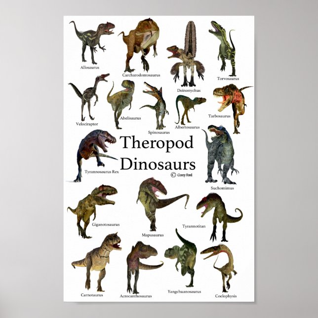 Theropod Dinosaurs Poster (Front)