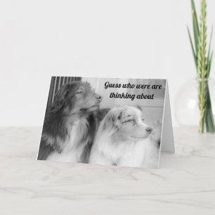 THESE 2 **BEAUTIES** SAY "HAPPY BIRTHDAY" TO "YOU! CARD