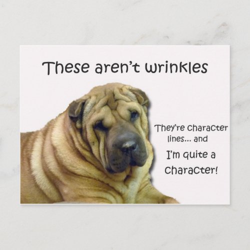 These Arent Wrinkles Theyre Character Lines Postcard