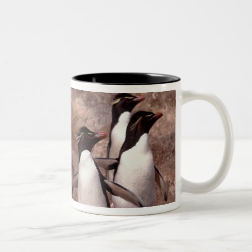 These five Rockhopper Penguins Eudyptes Two_Tone Coffee Mug