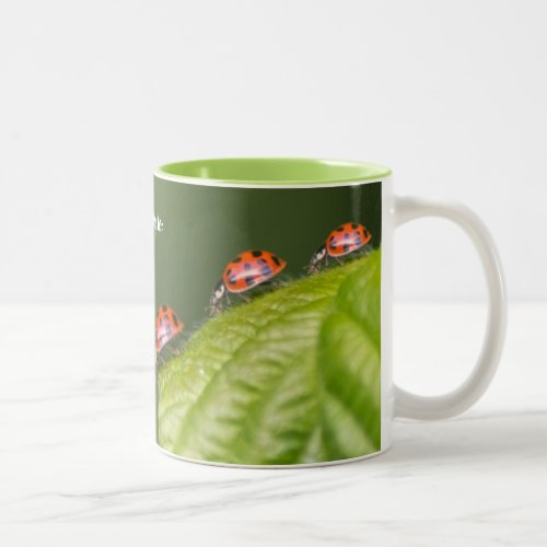 These little ladybugs grant a lucky day Two_Tone  Two_Tone Coffee Mug