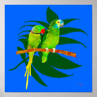 TheTwo Parrots Poster