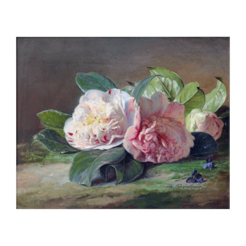 Theude Grnland Pink Peonies in Bloomies Poster Acrylic Print