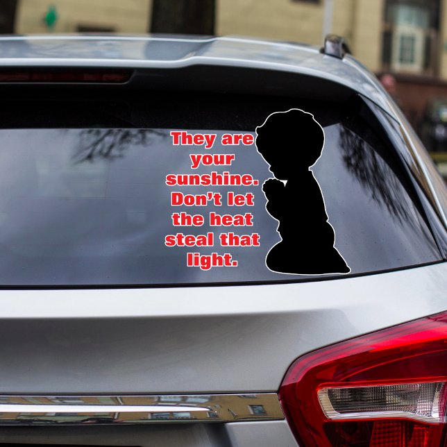 They Are Your Sunshine” – Gentle Car Safety Remind Sticker (Creator Uploaded)