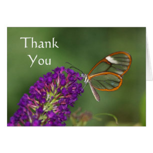 They call me Clear-wing Thank you Cards