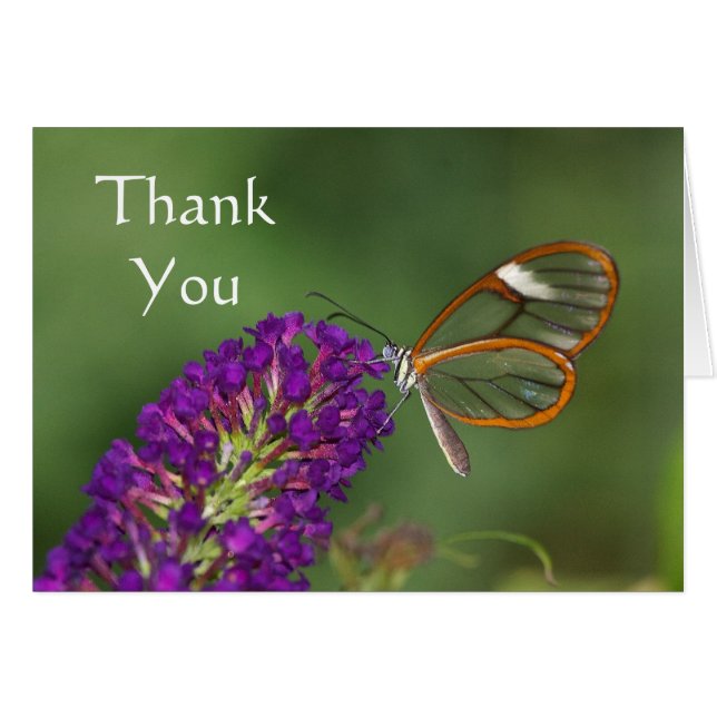 They call me Clear-wing Thank you Cards (Front Horizontal)