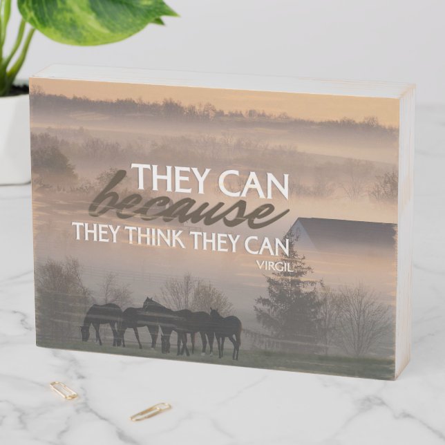 They Can Inspirational Quote Wooden Box Sign (In Situ Horizontal)