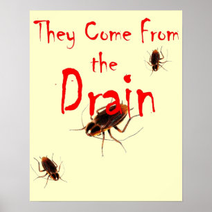 THEY COME FROM THE DRAIN - Scary Cockroach Poster