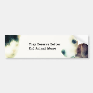They Deserve Better Bumper Sticker