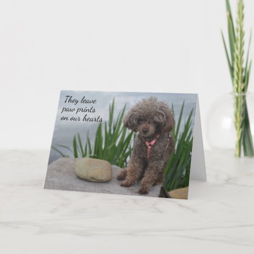 They Leave Pawprints On Our Hearts Pet Sympathy Card