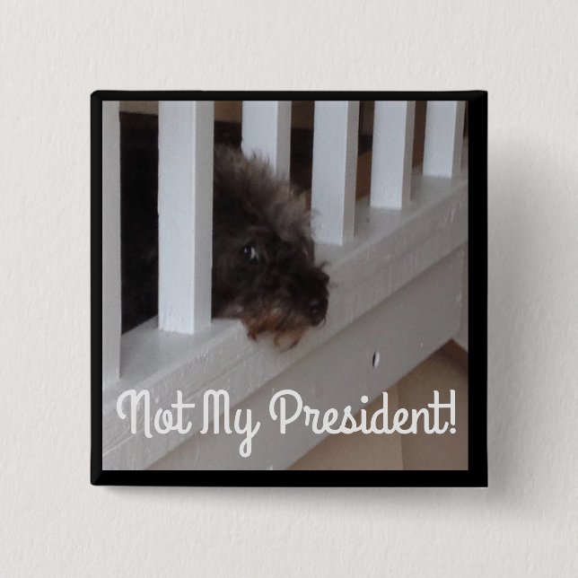 They say dogs can tell the good guys from the bad pinback button (Front)