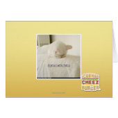 they'll never find meh here (Front Horizontal)