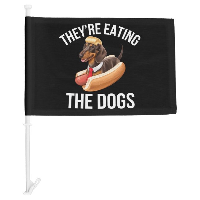 They're Eating The Dogs Donald Trump Debate 2024  Car Flag (Front)