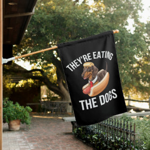They're Eating The Dogs Donald Trump Debate 2024  House Flag