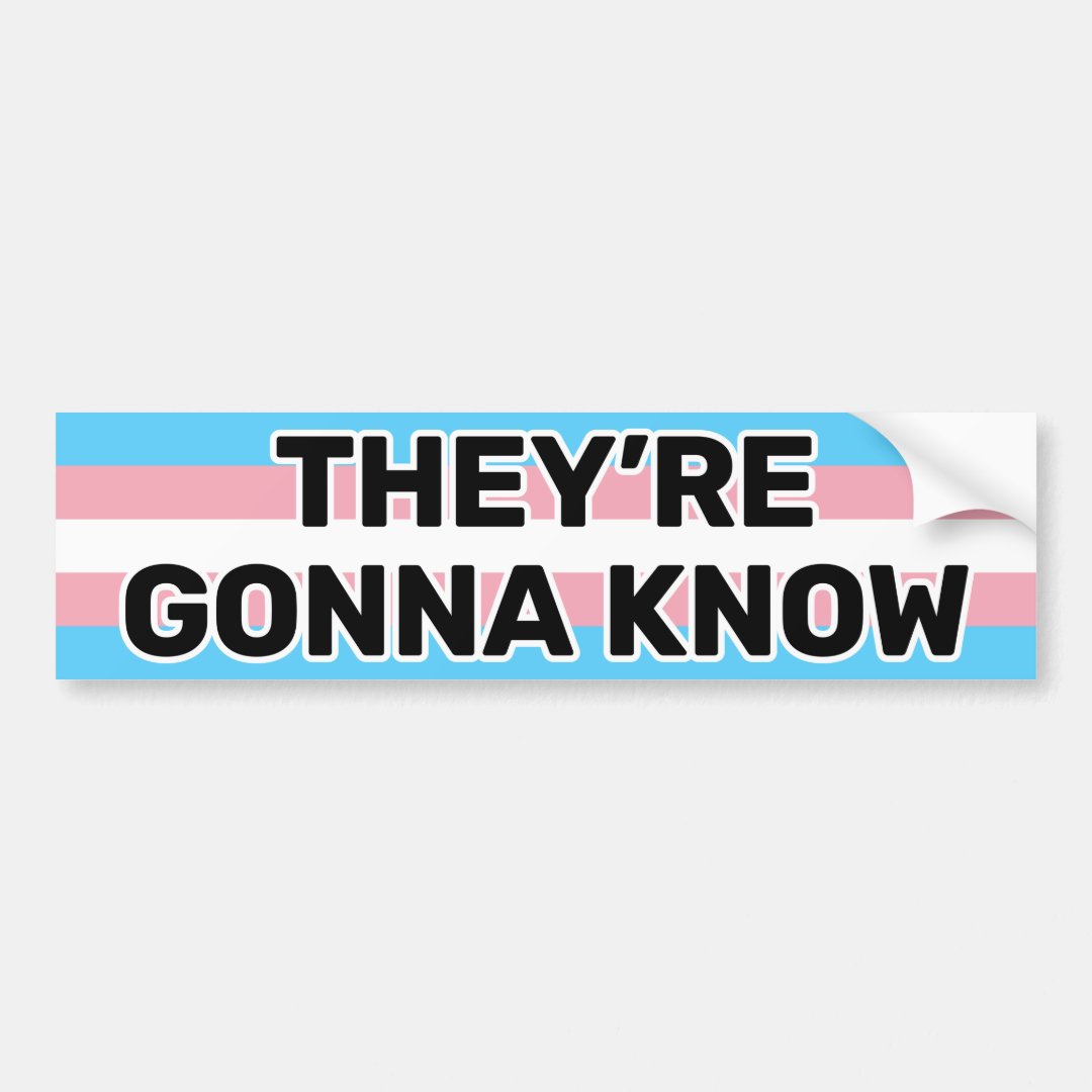 Theyre Gonna Know Black Trans Pride Flag Funny Bumper Sticker Zazzle