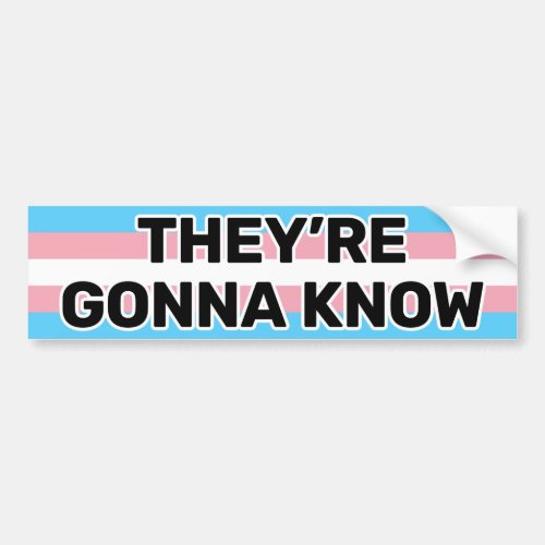 Theyre Gonna Know Black Trans Pride Flag Funny Bumper Sticker