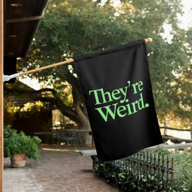 They're Weird 2024 Election President Harris Trump House Flag (In SItu)