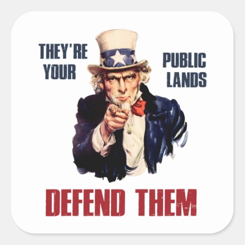 Theyre Your Public Lands Defend Them Uncle Sam Square Sticker