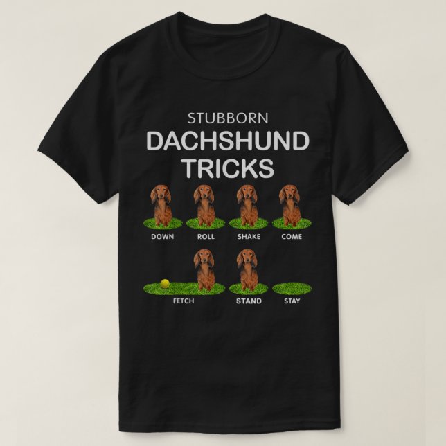 Thick Headed Dog — Funny Long Hair Dachshund for C T-Shirt (Design Front)