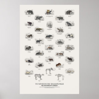 Thick-Skinned Quadrupeds - Naturalist's Library Poster