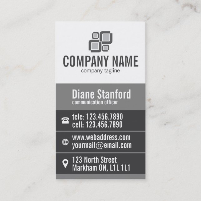 Thick Stripe Professional - Gray Business Card (Front)