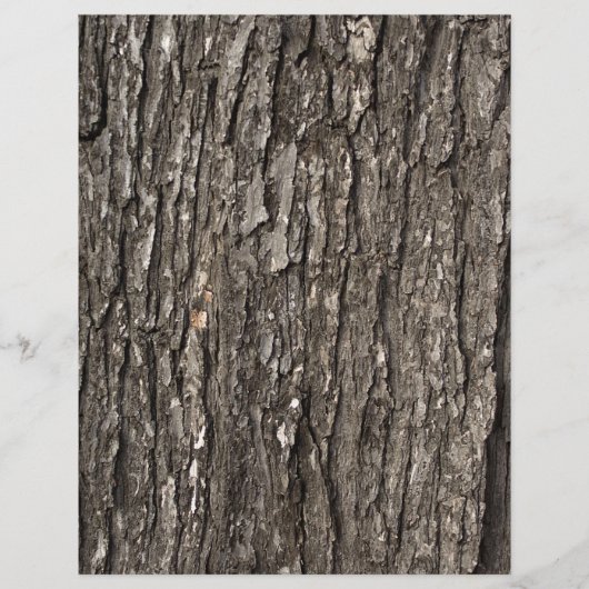 Thick Tree Bark (Front)