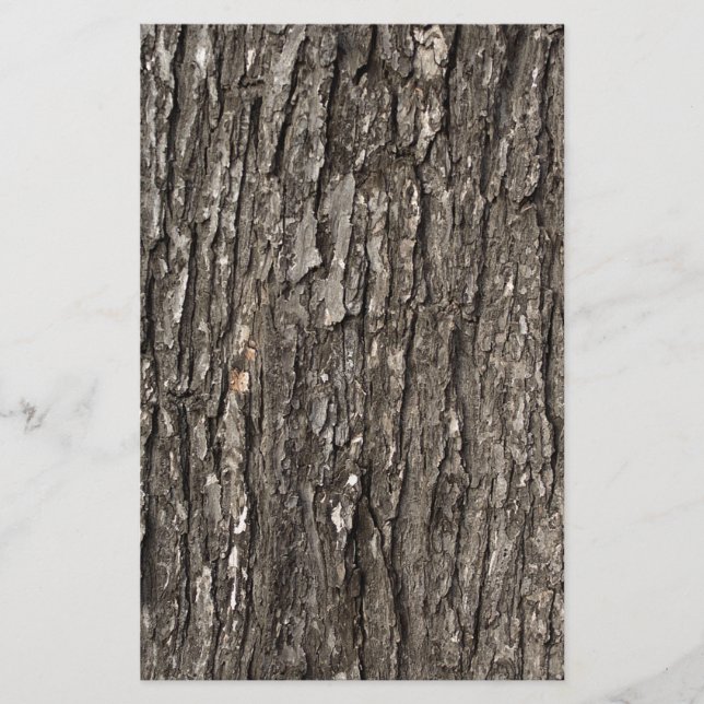 Thick Tree Bark Stationery (Front)