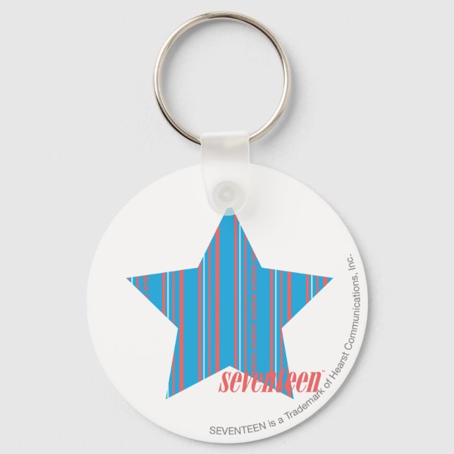 Thin Stripes Aqua 2 Keychain (Front)