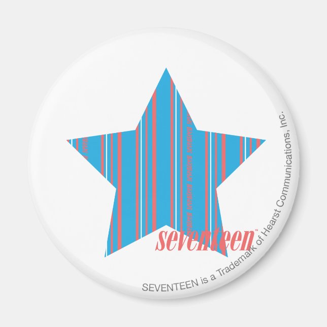 Thin Stripes Aqua 2 Magnet (Front)