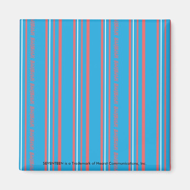 Thin Stripes Aqua Magnet (Front)