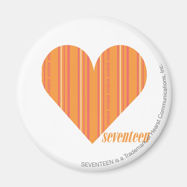 Thin Stripes Orange 3 Magnet (Front)