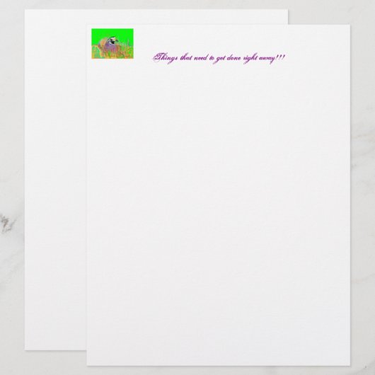 Things (Front/Back)