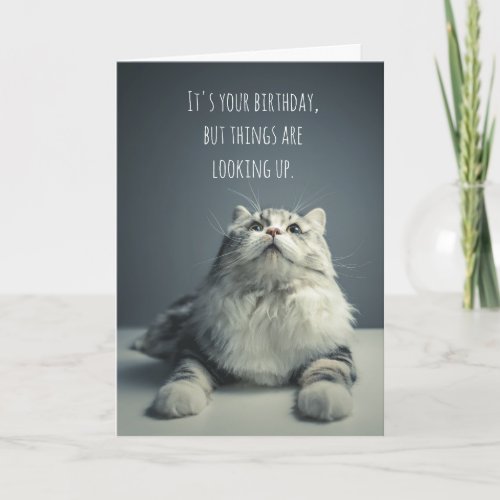 Things Are Looking Up Cat Birthday Card