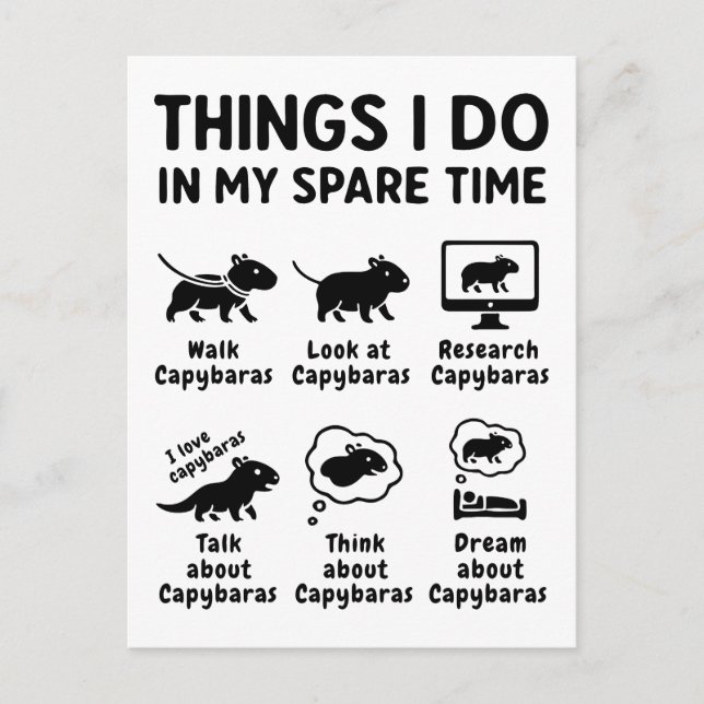 Things I Do In My Spare Time Capybara Funny Pet Postcard (Front)