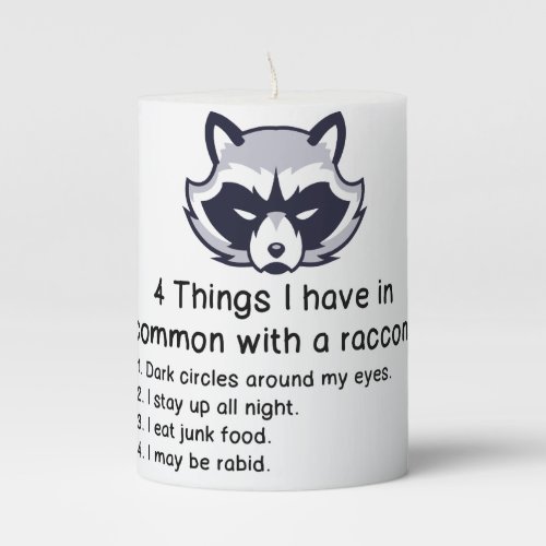 THINGS I HAVE IN COMMON WITH A RACCOON PILLAR CANDLE