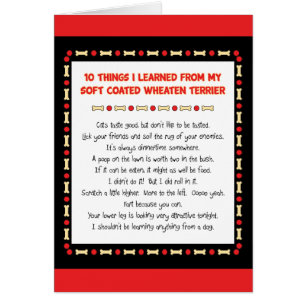 Things I Learned From Soft Coated Wheaten Terrier Cards