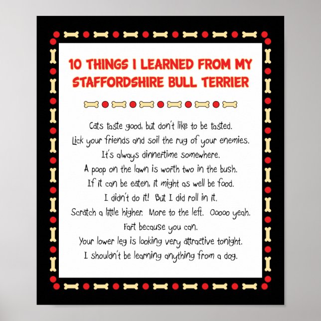 Things I Learned From Staffordshire Bull Terrier Poster (Front)