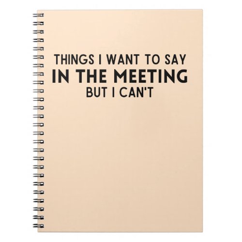 Things I want to say in the meeting but I cant Notebook