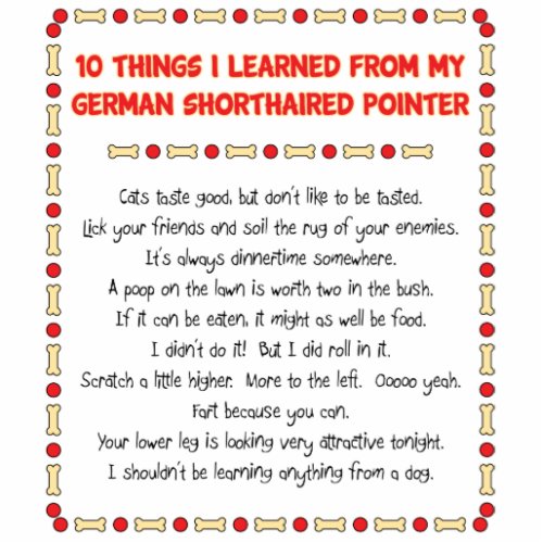 Things Learned From My German Shorthaired Pointer Statuette