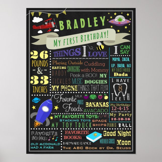 Things That Fly Boys First Birthday Poster (Front)
