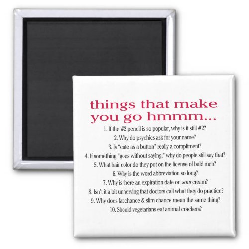 Things that make you go Hmmm Magnet