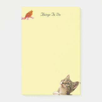 Things to Do Bird & Cat Notes